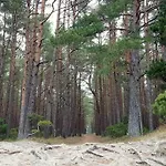 Viksvu Apartamentai Palangoje Appartamento *
